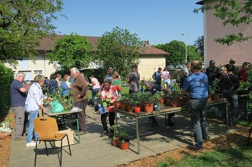 Troc de plantes - Val-Revermont