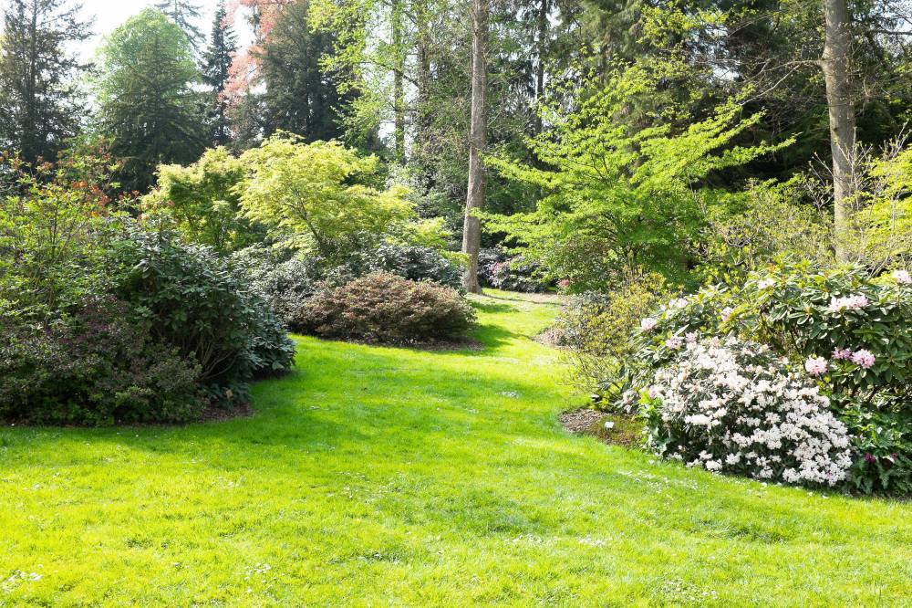 Marché aux plantes - Mulhouse Marché aux plantes - Mulhouse
