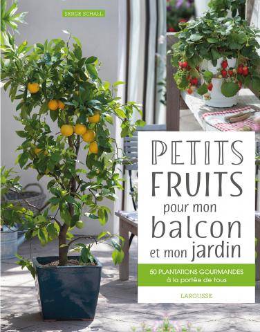 Petits fruits pour mon balcon et mon jardin - Serge Schall