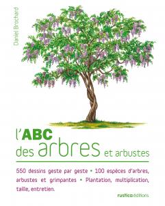 L'ABC des arbres et arbustes - Daniel Brochard 