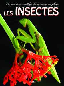 Les insectes - Piccolia