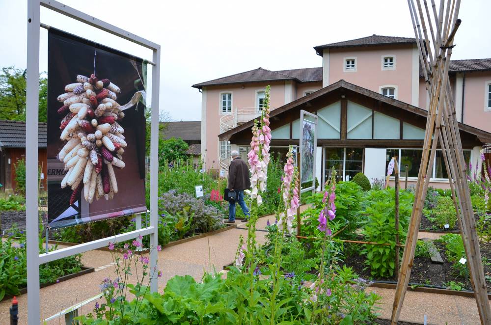 Obst und Gemüsegarten, Konservatorium des Museums des Revermont