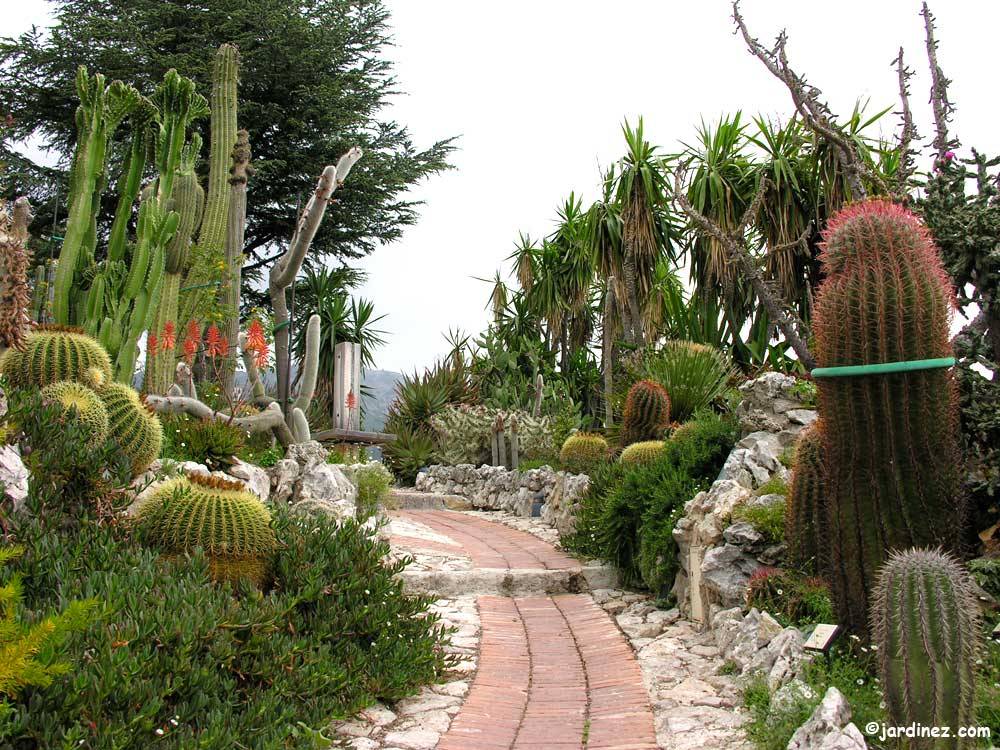 Exotic Garden Of Eze photo 3
